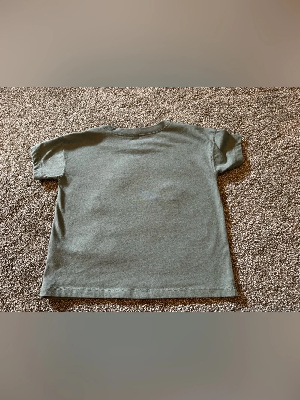 Carter’s Sage Green “Use your outside voice” 4T t-shirt 3D fuzzy Toddler Boy